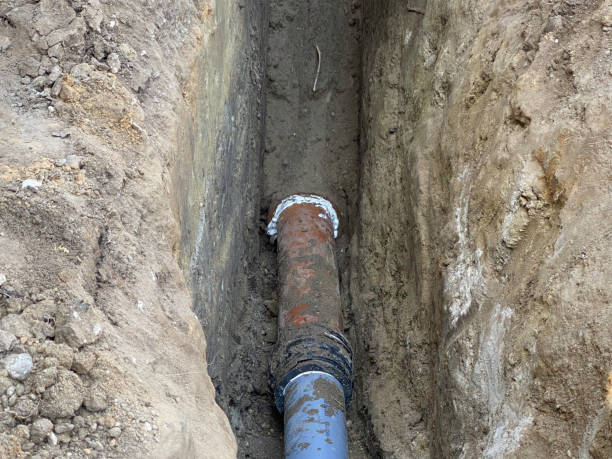 Best Flood damage cleanup  in Coldstream, KY