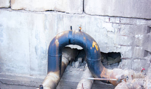 Best Carpet water damage restoration  in Coldstream, KY