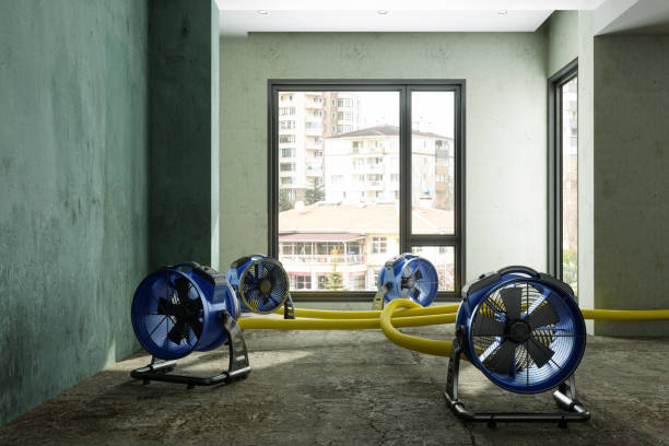 Local water damage restoration in KY