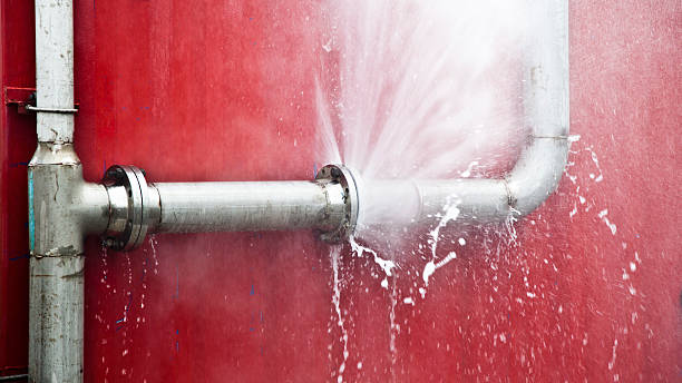 Best Flooded house restoration  in Coldstream, KY